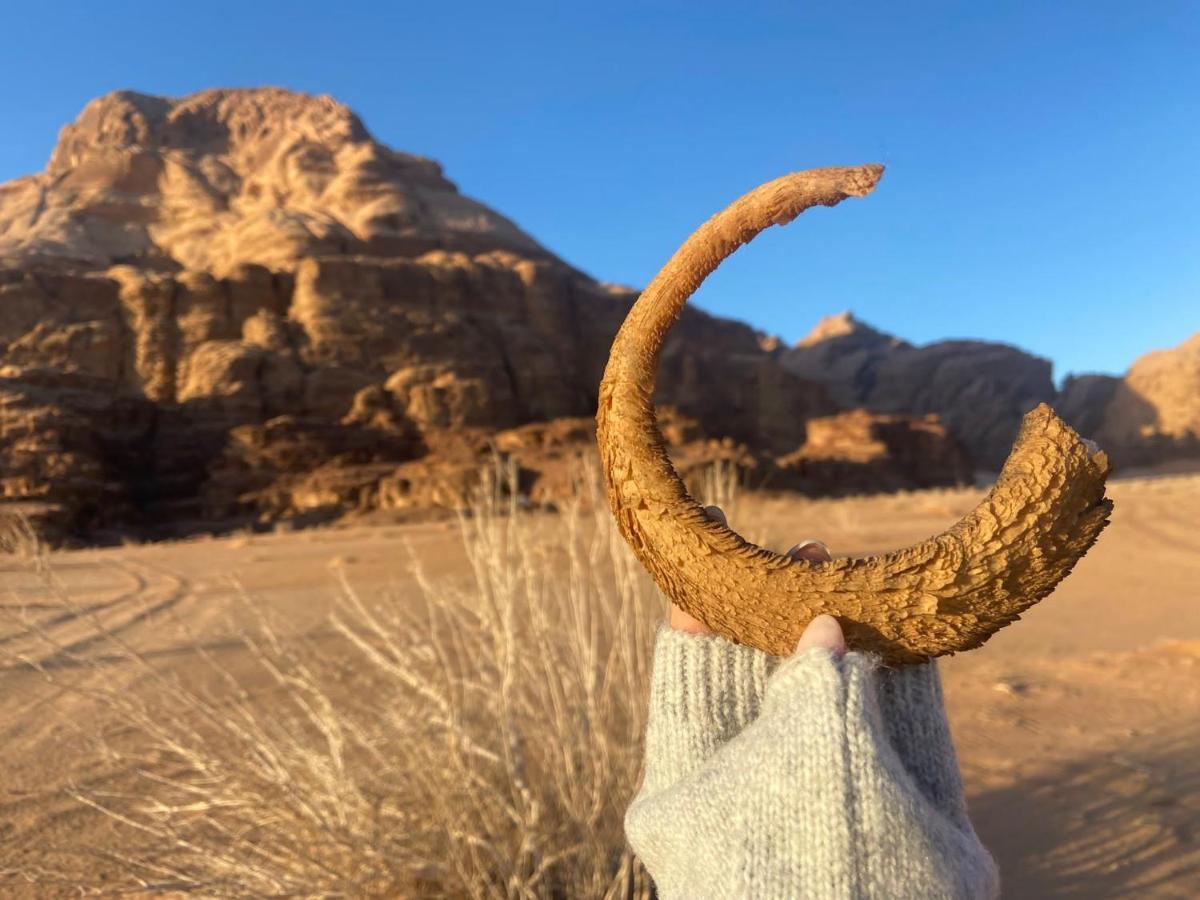 Wadi Rum Albasli Exterior photo