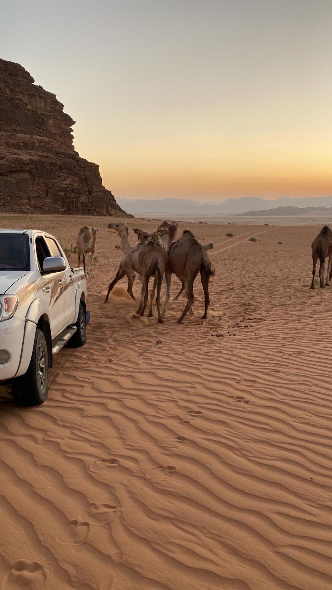 Wadi Rum Albasli Exterior photo