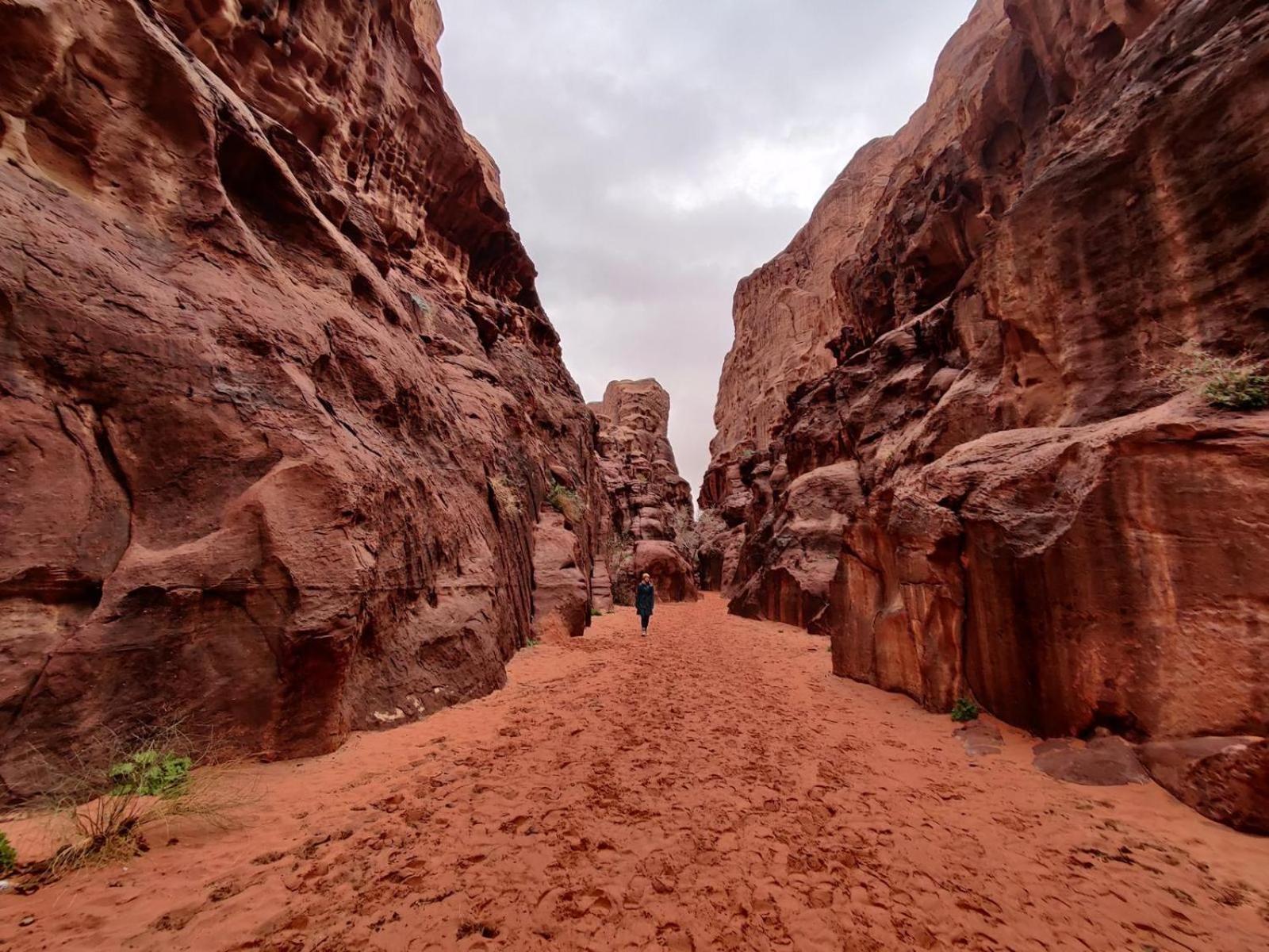Wadi Rum Albasli Exterior photo
